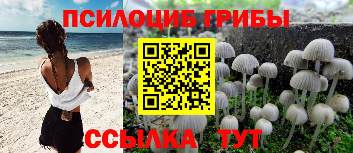 Галлюциногенные грибы Magic Shrooms  даркнет сайт  Феодосия  Вход с VPN 