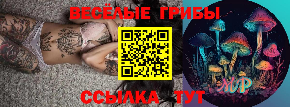 Псилоцибиновые грибы Psilocybine cubensis Феодосия